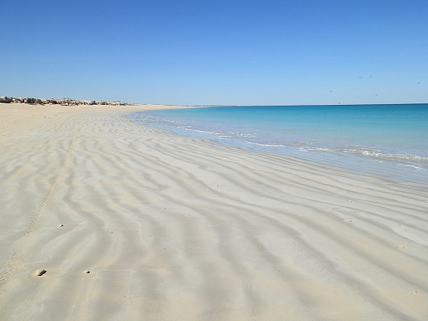 4-Coconut-Wells-Beach-via-Broome-WA.jpg.jpg,0