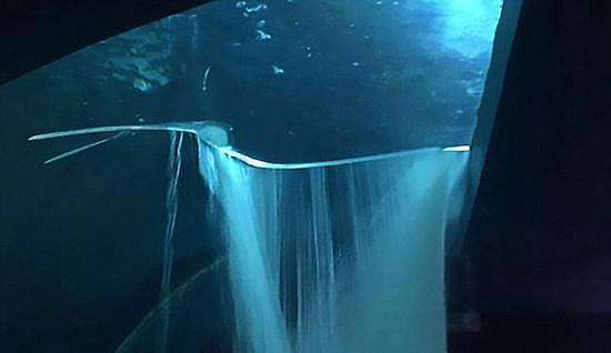 墨西哥水族馆鲨鱼水箱破裂导致街道被淹没 - 2