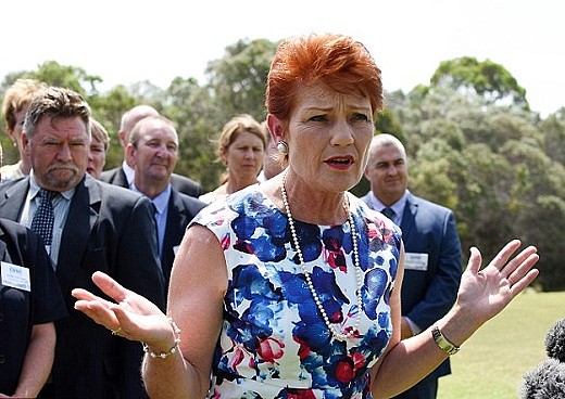 3CE08F5100000578-4193900-Pauline_Hanson_s_One_Nation_party_now_holds_eight_per_cent_of_th-a-1_1486330802413.jpg.jpg,0