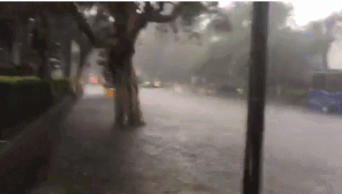 要去唐人街看海了! 悉尼今晨骤降暴雨多道路关闭(图) - 15