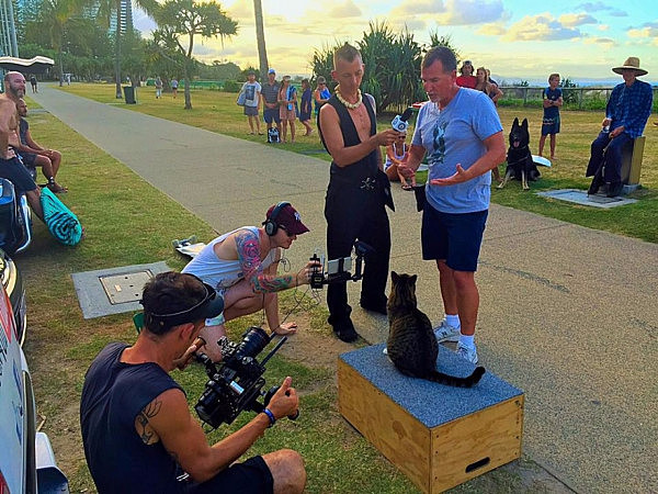 奇葩! 澳人玩坏喵星人 滑板猫Boomer挑战穿过最多人胯下世界纪录 - 1