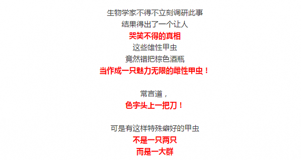 澳洲有一种昆虫。。。马上要灭绝了。。。主要原因是。。。它们太蠢。。。爱错了对象。。。只有澳洲才有这么蠢的生物！ - 6