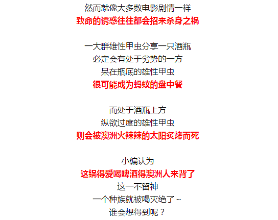 澳洲有一种昆虫。。。马上要灭绝了。。。主要原因是。。。它们太蠢。。。爱错了对象。。。只有澳洲才有这么蠢的生物！ - 13