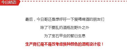 澳洲有一种昆虫。。。马上要灭绝了。。。主要原因是。。。它们太蠢。。。爱错了对象。。。只有澳洲才有这么蠢的生物！ - 32