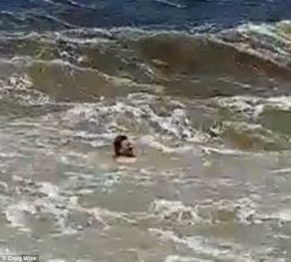 澳男作死在大浪中游泳 被卷入大海300米才被勇敢友人救回(图) - 3