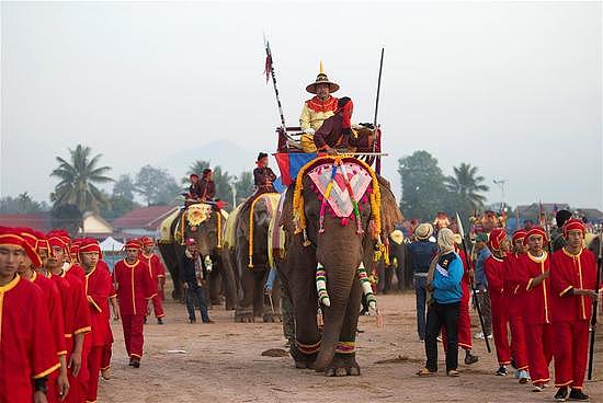 老挝迎来大象节 大象们进行游行表演画画 - 2