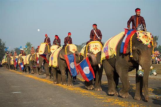 老挝迎来大象节 大象们进行游行表演画画 - 6