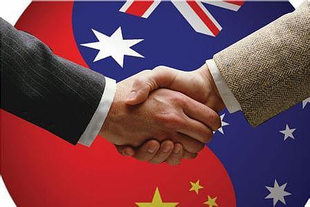澳洲首批出口活牛抵达中国 出口关税从10%降至4%! - 3