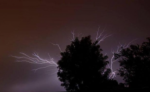 珀斯昨夜狂风暴雨打破降雨记录 绚丽闪电秀引网友狂拍照发推(组图) - 4