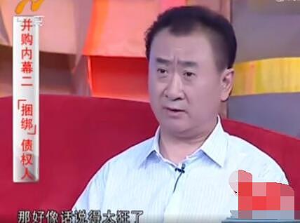 王健林又曝经典语录：几十亿不能说小意思 中等意思吧 - 2