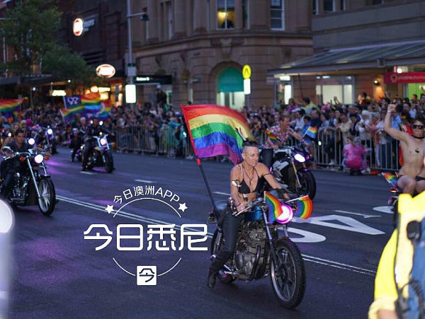 悉尼今夜彩虹色！同性恋狂欢节大游行精彩纷呈 Gay式“广场舞”亮瞎眼 男同现场求婚成功引众人欢呼（组图+视频） - 47