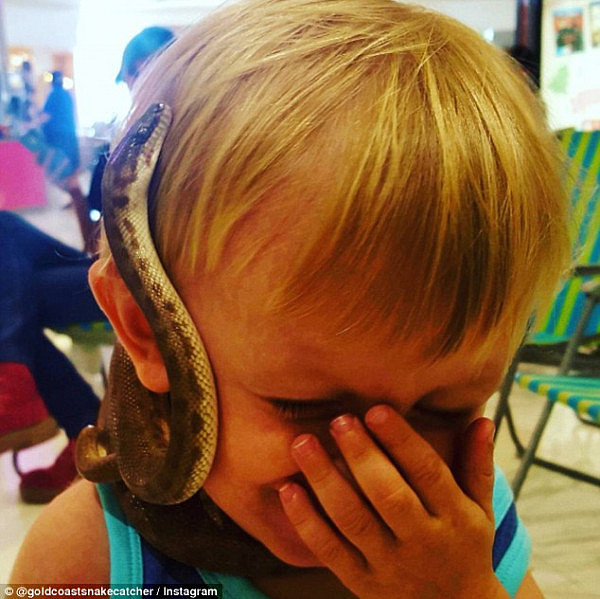 厉害了！澳洲年龄最小的捕蛇人原来是2岁都不到的小萌娃！出生才一天就随妈妈出来捕蛇了  - 4