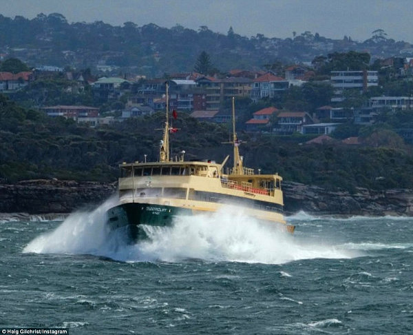 悉尼渡轮频遭巨浪“袭击” 亚裔乘客不幸中招一秒“湿身”（组图） - 2
