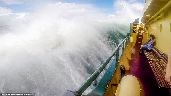 悉尼渡轮频遭巨浪“袭击” 亚裔乘客不幸中招一秒“湿身”（组图） - 3
