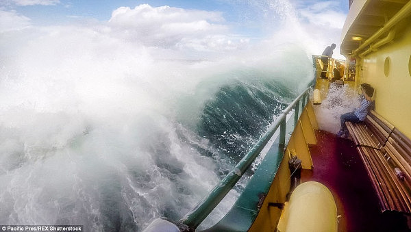 悉尼渡轮频遭巨浪“袭击” 亚裔乘客不幸中招一秒“湿身”（组图） - 4