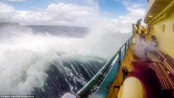 悉尼渡轮频遭巨浪“袭击” 亚裔乘客不幸中招一秒“湿身”（组图） - 5