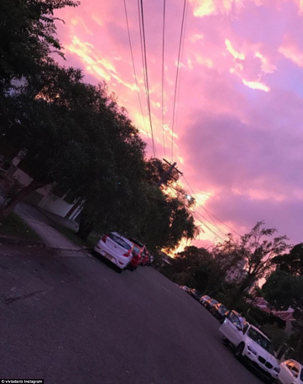 美爆了！悉尼天空破晓时分变成粉红色 壮丽景观刷爆朋友圈！(组图) - 5