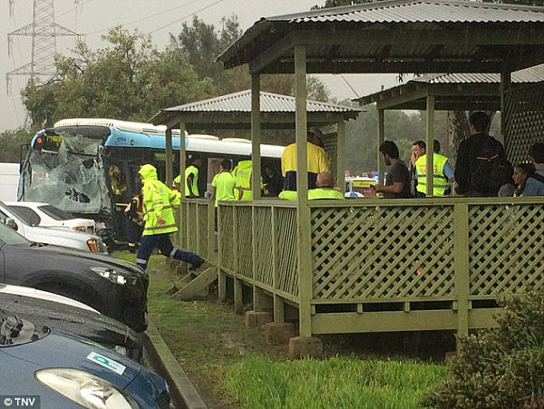 悉尼停车场事故更新: 垃圾车司机疑闯红灯！15人受伤亚裔男子头部重伤(多图) - 13