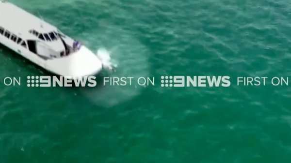 大写赞！悉尼环形码头一男子意外从渡轮落水 船员反应及时勇救人 - 1
