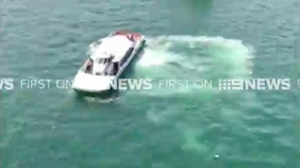 大写赞！悉尼环形码头一男子意外从渡轮落水 船员反应及时勇救人 - 2