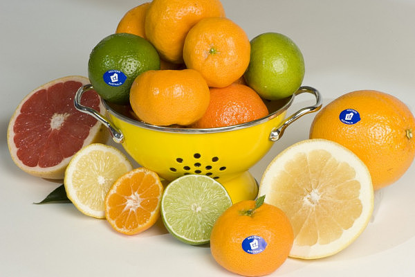 P08_1194_Citrus_0-1024x682.jpg,0