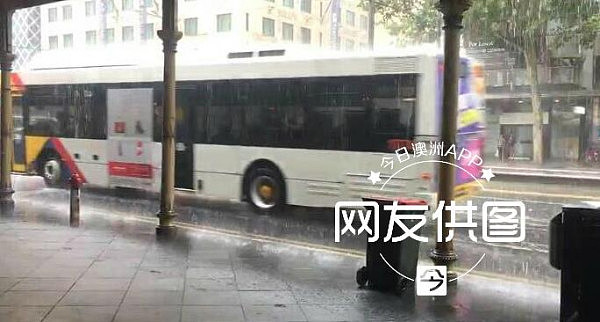 阿德莱德突降大暴雨！上千户居民断电 大量民众被困城中 - 1