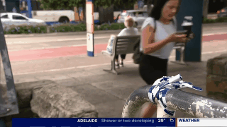 什么仇什么怨？悉尼男子公交站台等车遇袭 被一拳击倒在地昏迷不醒（视频） - 4