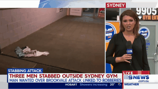 太猖狂！悉尼男子夜闯健身房刺伤三人 逃跑途中两次持刀抢劫加油站（视频） - 5