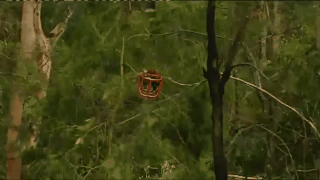 实拍直升机悉尼丛林中“打捞”100公斤螺旋桨 疑事故原因为“传动轴疲劳断裂”（视频） - 9