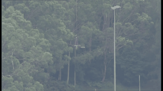 实拍直升机悉尼丛林中“打捞”100公斤螺旋桨 疑事故原因为“传动轴疲劳断裂”（视频） - 4