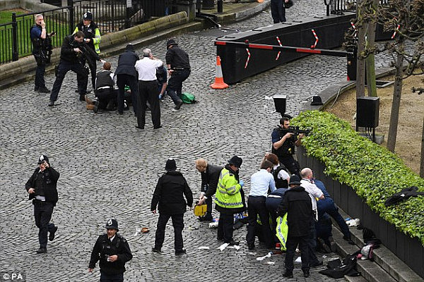 伦敦恐袭已致5人死亡 一国党领袖韩森再提禁止穆斯林移民澳洲！ - 6