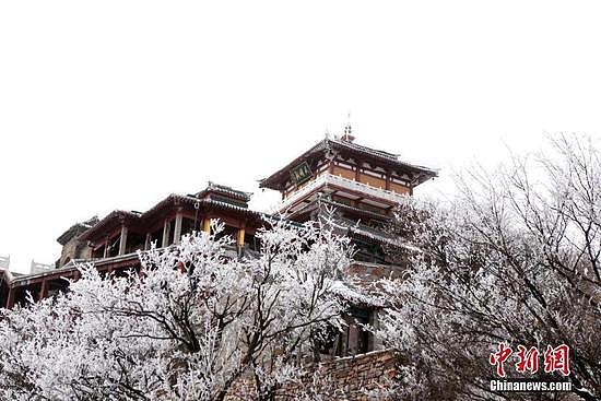 河南王屋山飘落