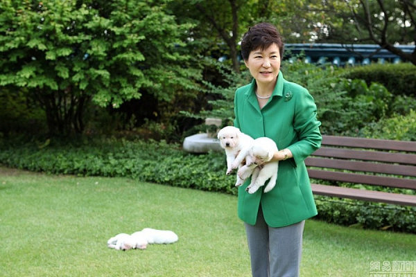 韩国舆论“落井下石”:朴槿惠弃犬遭动物保护组织举报 - 2