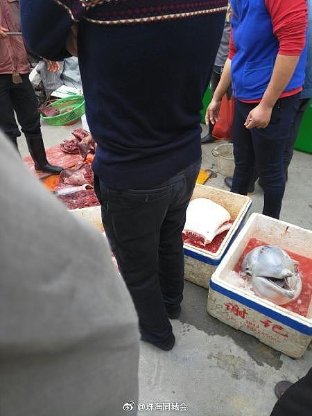 曝广东街头有人当场宰杀幼龄白海豚 画面血腥 - 1