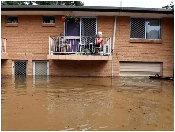 在土澳这个神奇的地方，面对暴雨暴晒，人和动物是这样实力抢镜的...哈哈哈这奇葩画风你感受下！ - 4