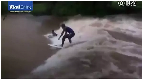 在土澳这个神奇的地方，面对暴雨暴晒，人和动物是这样实力抢镜的...哈哈哈这奇葩画风你感受下！ - 6