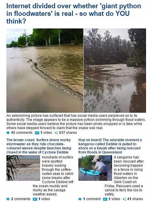 在土澳这个神奇的地方，面对暴雨暴晒，人和动物是这样实力抢镜的...哈哈哈这奇葩画风你感受下！ - 5