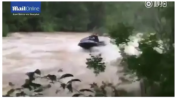 在土澳这个神奇的地方，面对暴雨暴晒，人和动物是这样实力抢镜的...哈哈哈这奇葩画风你感受下！ - 8