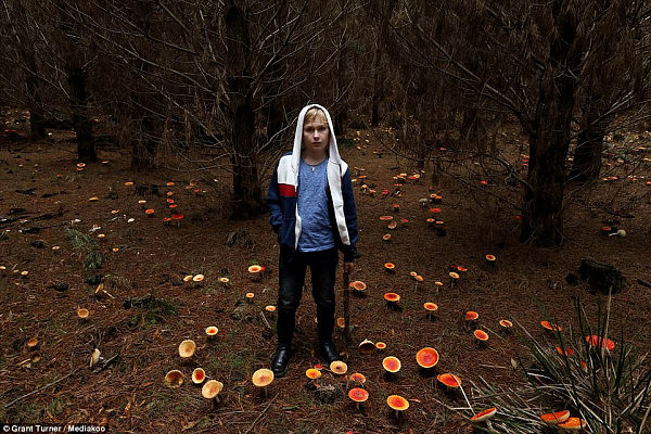 童话般的梦幻场景就在身边？跟着澳洲摄影师来新州蓝山松林采蘑菇吧！（视频＋组图） - 4