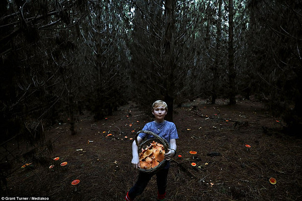 童话般的梦幻场景就在身边？跟着澳洲摄影师来新州蓝山松林采蘑菇吧！（视频＋组图） - 7
