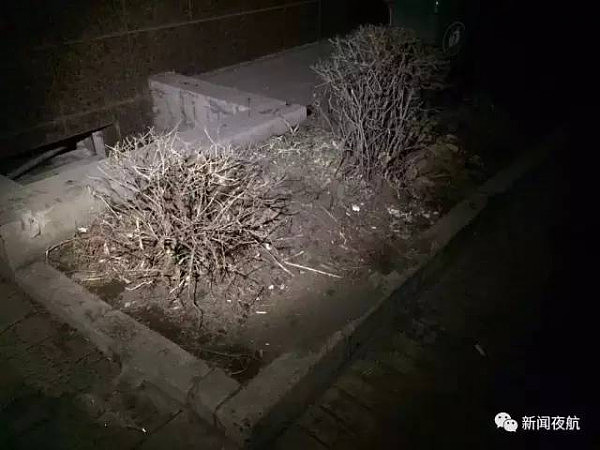 4岁女童从10楼坠亡！邻居一句话惊呆众人 - 3