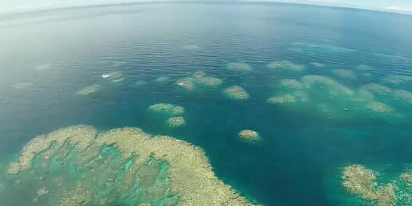 大堡礁加速白化或让百万游客放弃来澳 澳洲每年损失10亿刀 上万人将因此失业 - 1