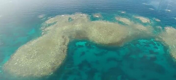 大堡礁加速白化或让百万游客放弃来澳 澳洲每年损失10亿刀 上万人将因此失业 - 2