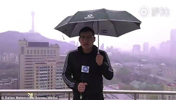 恐怖！中国气象台主持人现场直播遭雷击 雨伞手上现火花！（视频） - 1