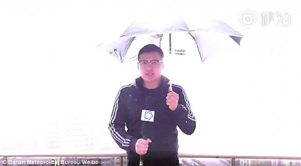 恐怖！中国气象台主持人现场直播遭雷击 雨伞手上现火花！（视频） - 2