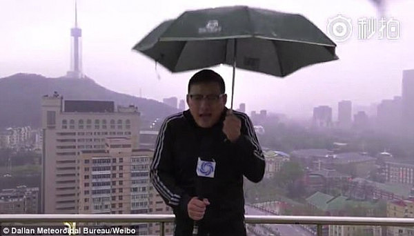 恐怖！中国气象台主持人现场直播遭雷击 雨伞手上现火花！（视频） - 3