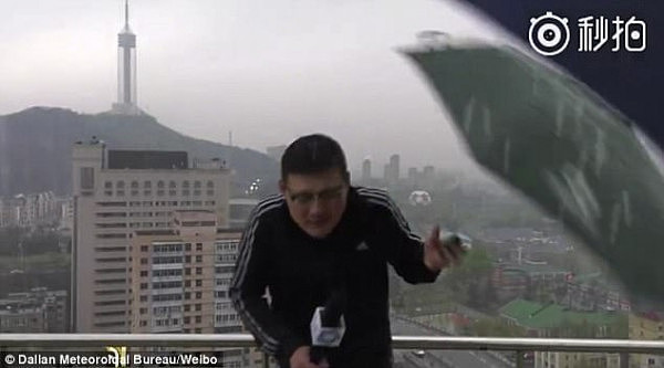 恐怖！中国气象台主持人现场直播遭雷击 雨伞手上现火花！（视频） - 4