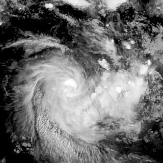 又来?中国中央气象台报澳洲附近海域一级热带气旋“弗朗西斯”生成 - 1