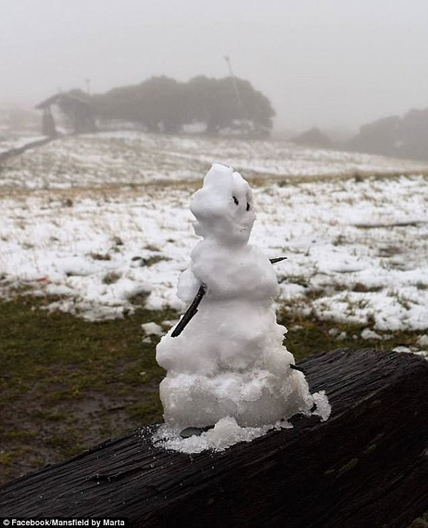 狂风暴雪天气预警！新州最低气温恐跌至-6℃ 大范围降雪天气即将来袭！雪花直径超5cm！(图) - 6