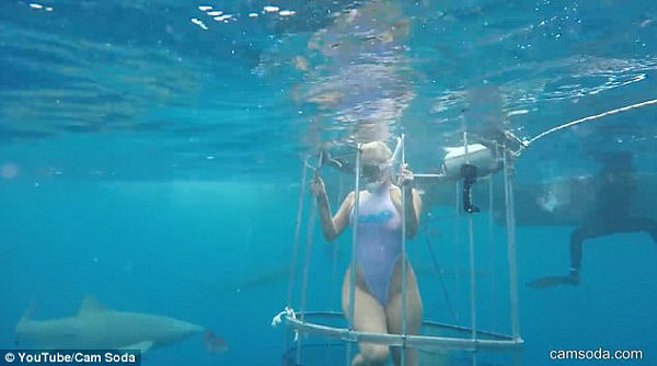 恐怖！AV女优在海中拍片惨遭鲨鱼攻击 海水瞬间被染红（视频） - 4
